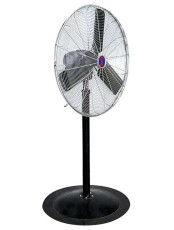 Pedestal Fan